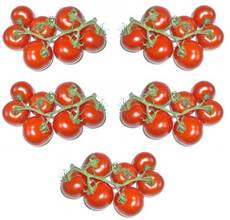 Tomaten-5x7.jpg